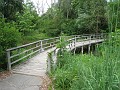 Matthaei Botanical Gardens 2010 0385